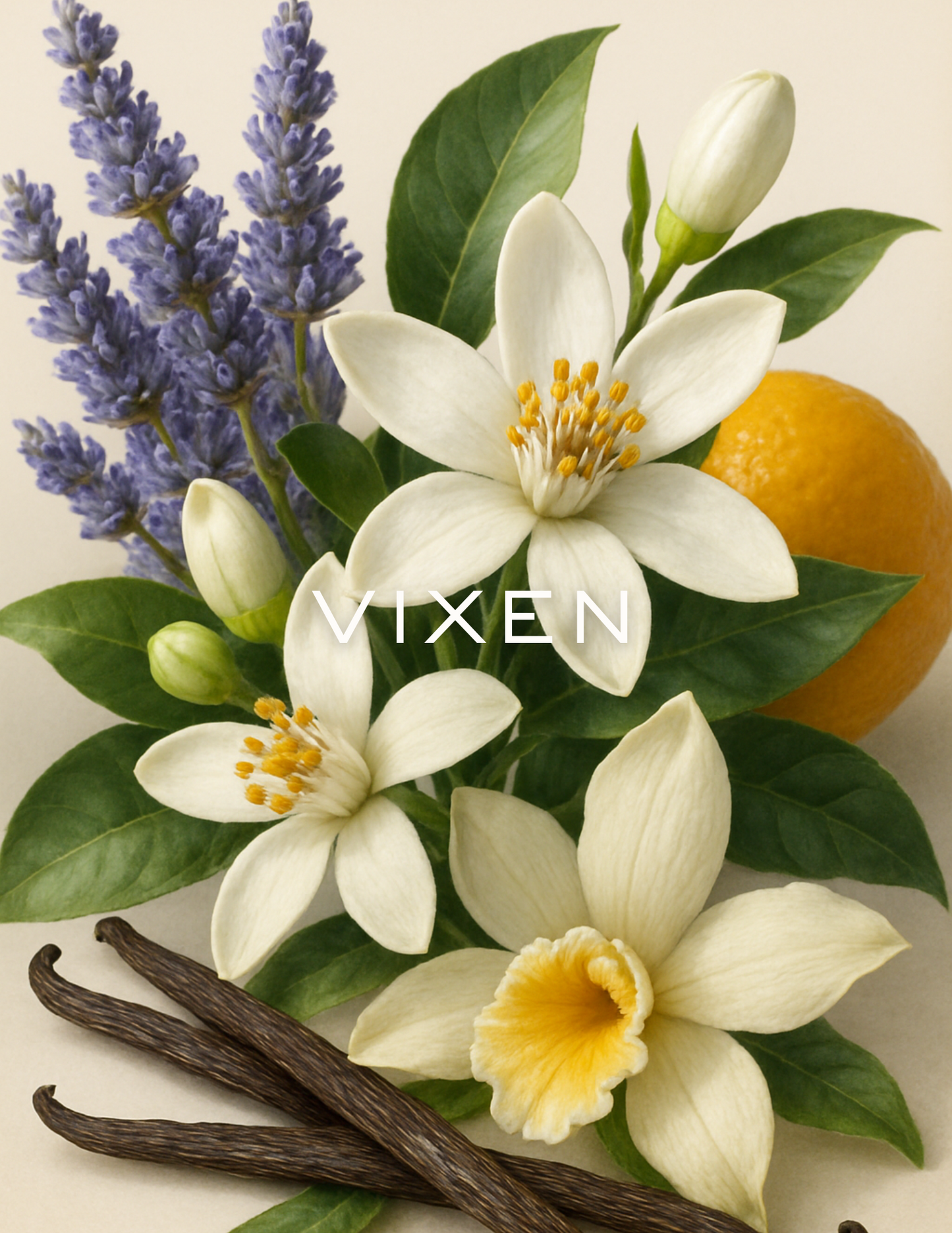 The Tease List Roll-On Perfumes