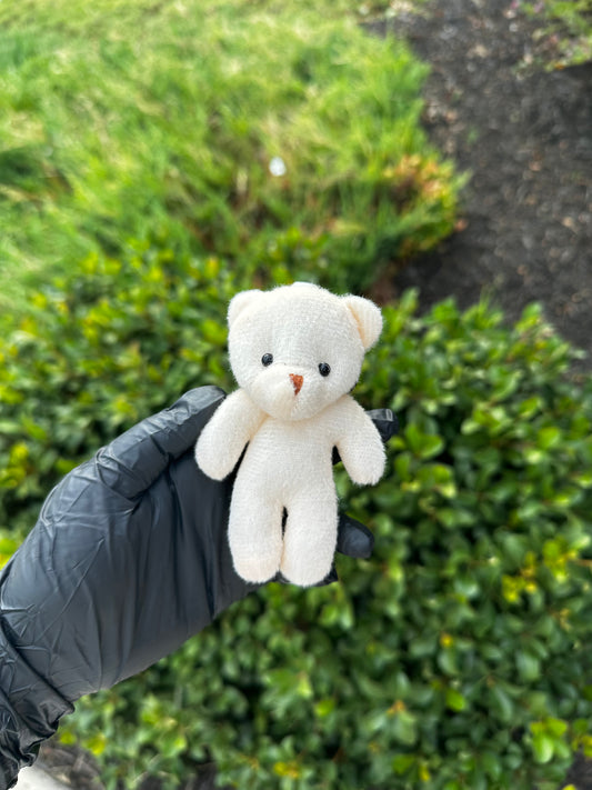 Baby Bear Plush (Gift Addition)